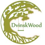 DVINSK WOOD – MISTER EJS – espositore di BUYER POINT 2022