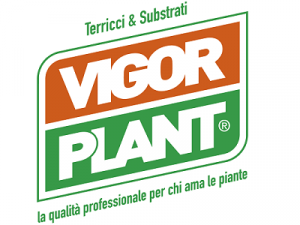 VIGORPLANT - espositore di BUYER POINT 2022